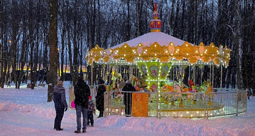В Рязанской области ожидается аномальное потепление