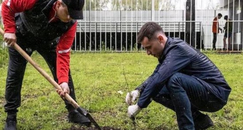 В Лесопарке Рязани высадили 50 лиственниц