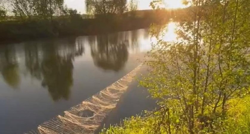 Рязанец заметил обмеление реки Вожа из-за агрохозяйства поблизости