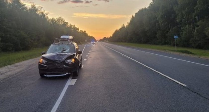 В Шиловском районе водитель Lada насмерть сбил пешехода 22 лет