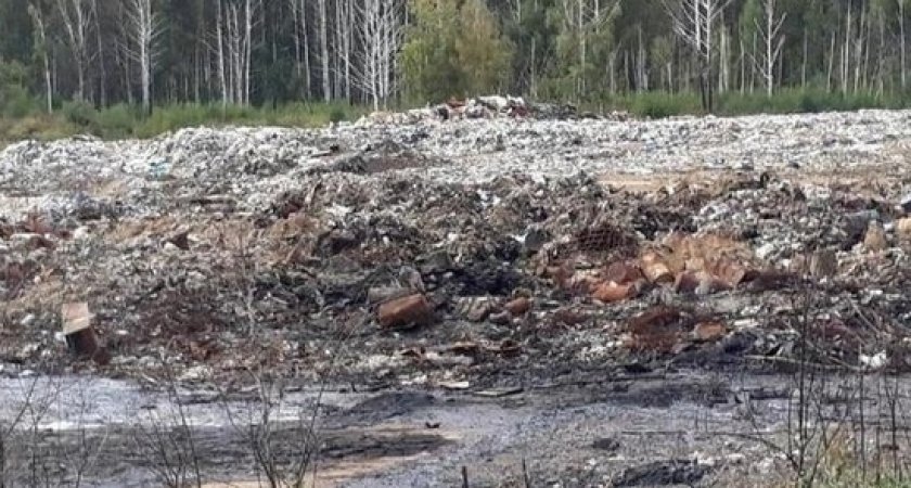 Малков заявил о намерении добиться полного закрытия мусорной свалки в Турлатове