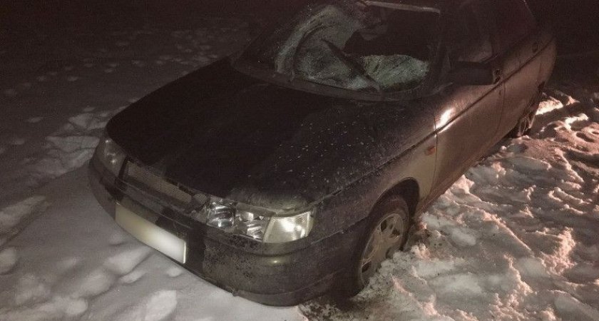 В Рязанской области пьяный водитель насмерть сбил 62-летнюю женщину и скрылся