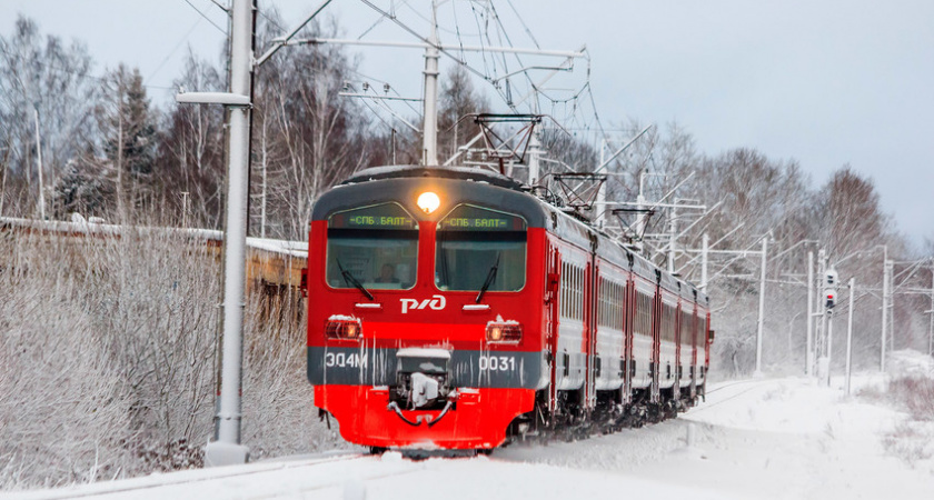В Рязанской области остановили два пассажирских поезда Новороссийск-Москва