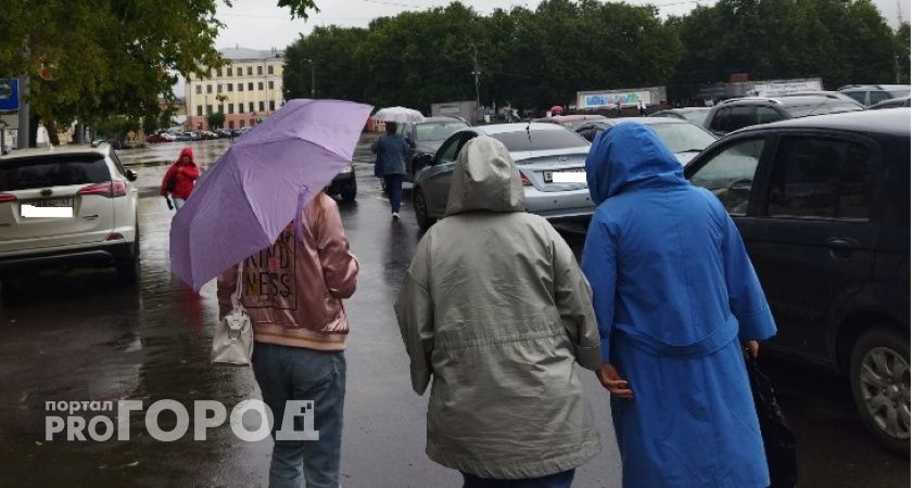 МЧС предупреждает жителей Рязани о грозе и ливнях