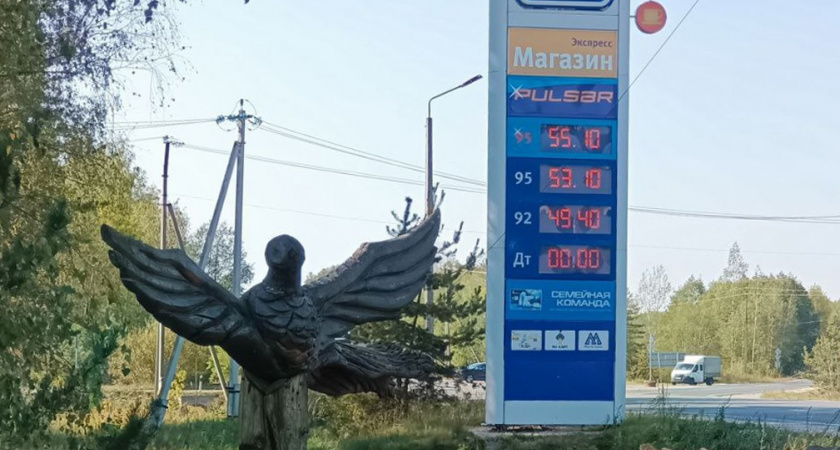 В Рязанской области на АЗС «Роснефть» не продают дизельное топливо