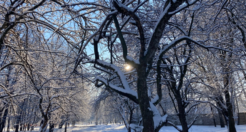 25 декабря в Рязанской области ожидается снег и до -7