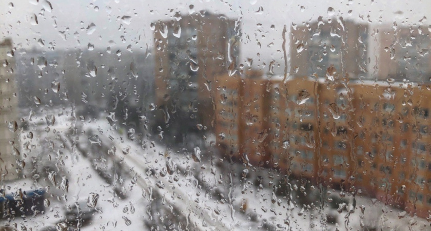 29 декабря в Рязанской области ожидается мокрый снег, дождь и +3
