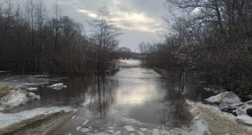 В Рязанской области затопило ещё два низководных моста