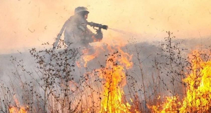 В Рязанской области выявили первый случай возгорания травы