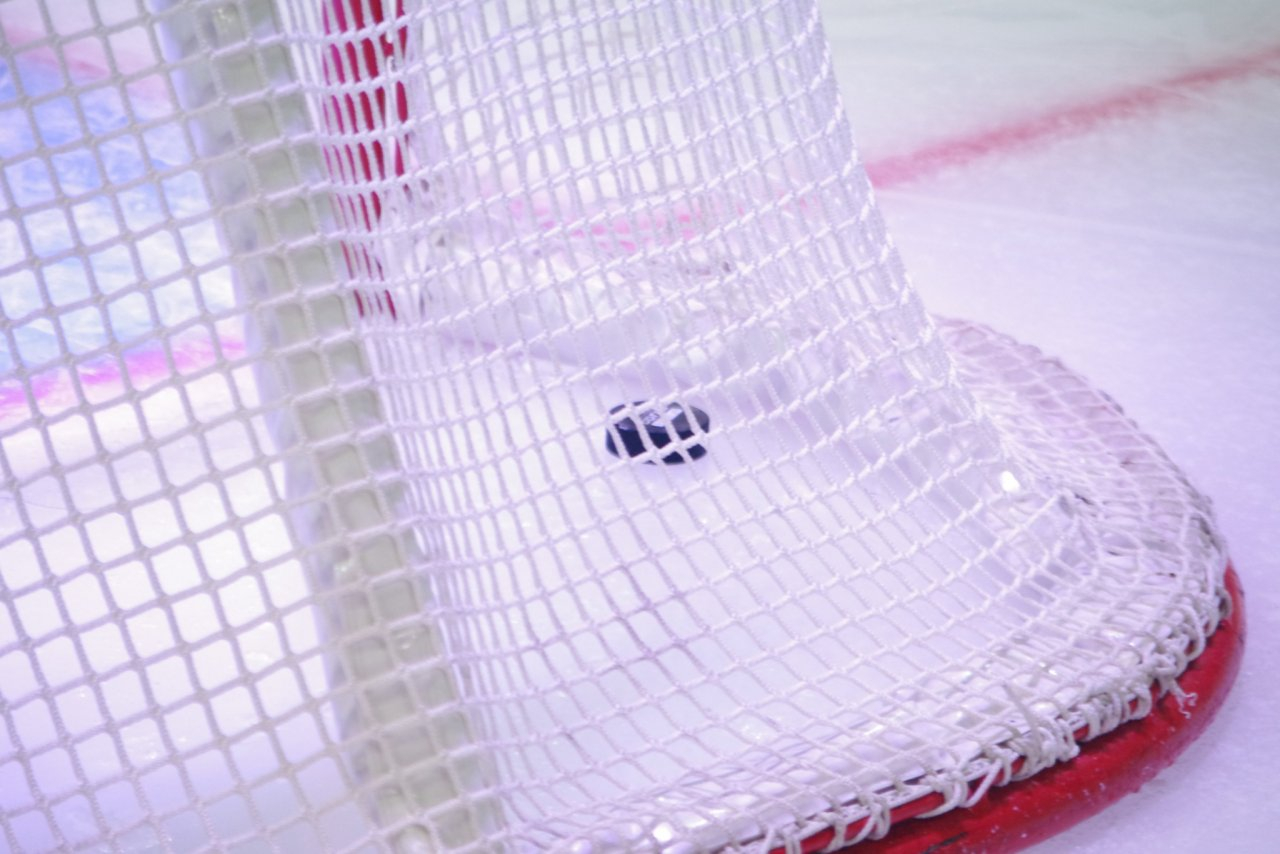 В этом году рязанским хоккеистам не удалось завоевать кубок "Дизеля"