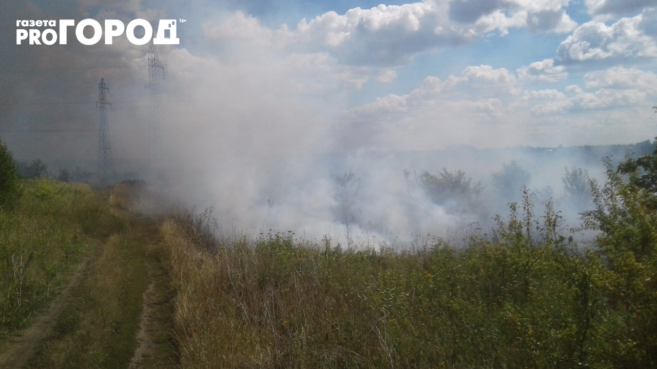 В Кораблинском районе Рязанской области загорелись поля