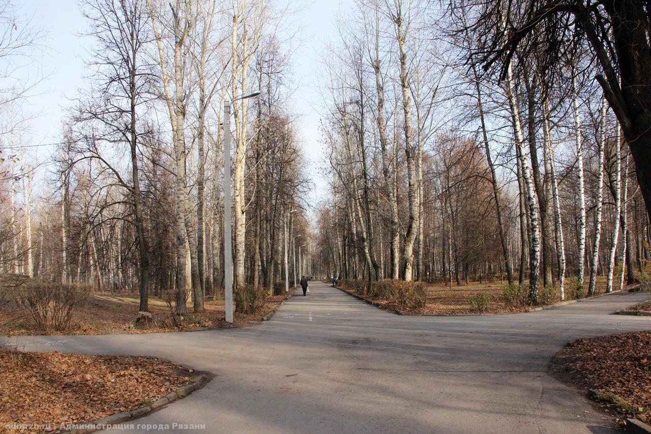 Карабасов отреагировал на жалобы о благоустройстве парка Гагарина
