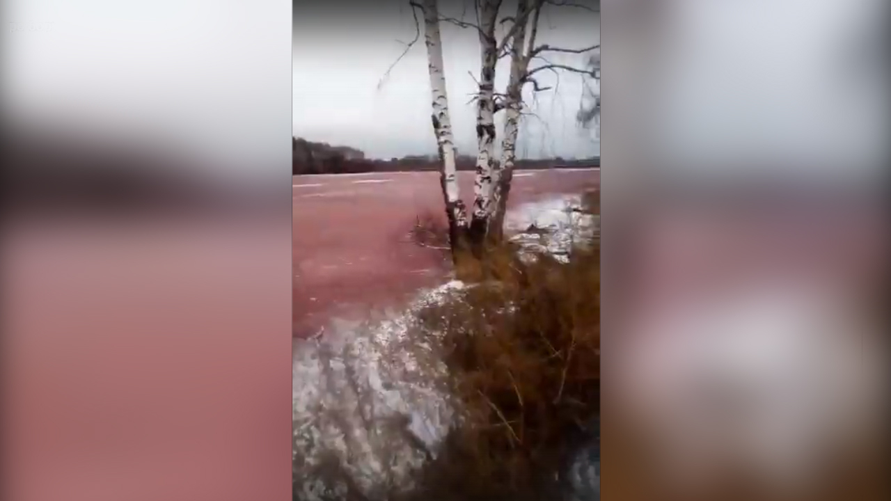 В Рязанском районе засняли «кровавое» озеро