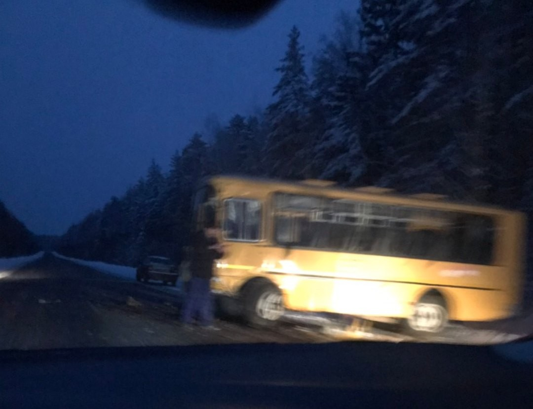 В Касимовском районе школьный автобус попал в ДТП