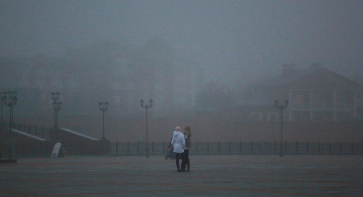 МЧС предупреждает - в ближайшее время Рязанскую область накроет туман