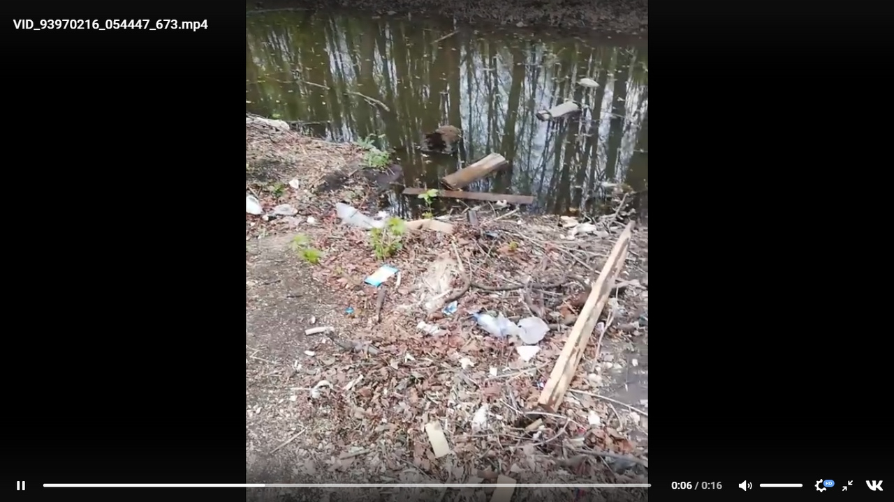 Житель Рязани заснял на видео грязный ручей в Лесопарке