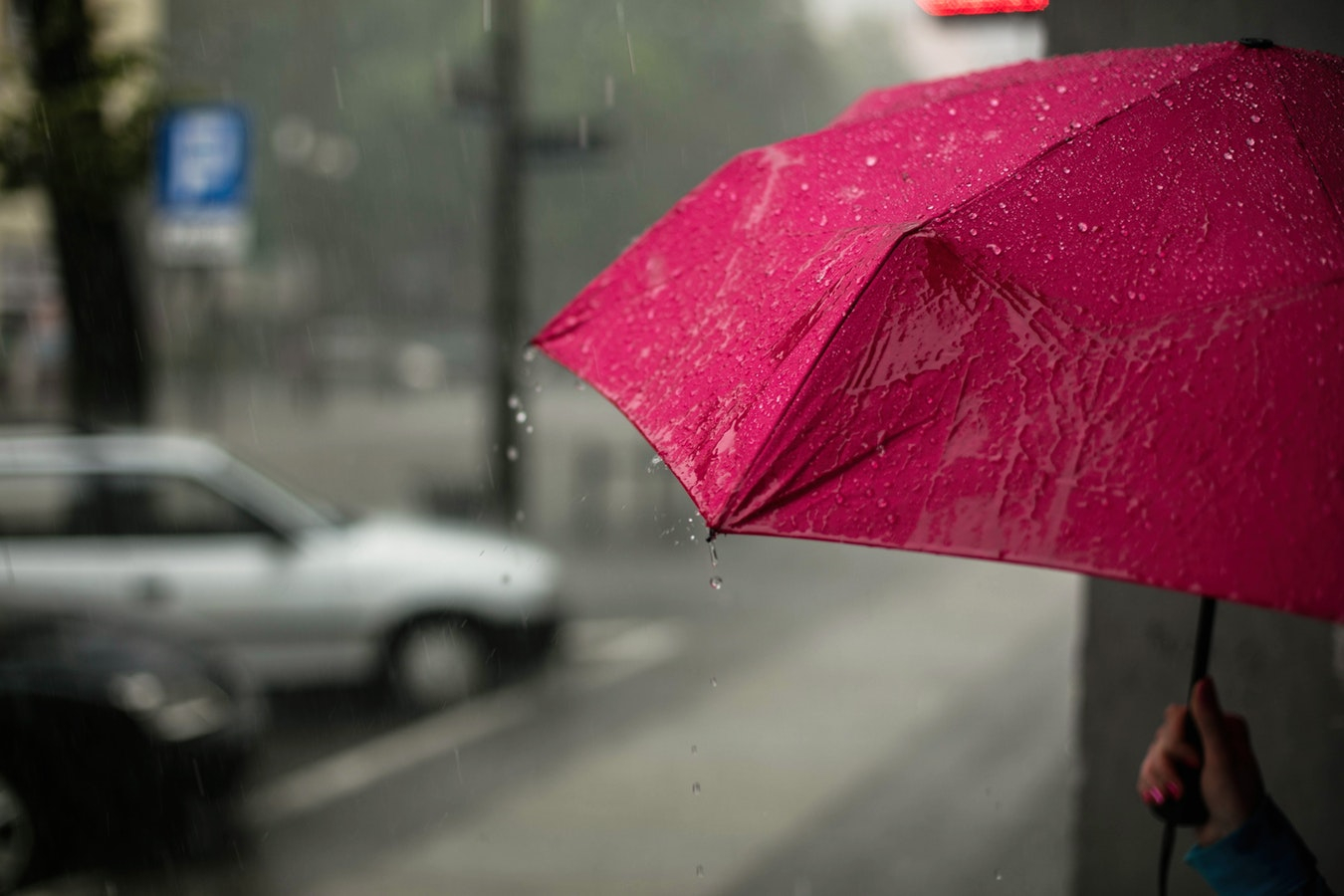 Помните про зонтик: МЧС предупреждает о грозах и сильном ветре