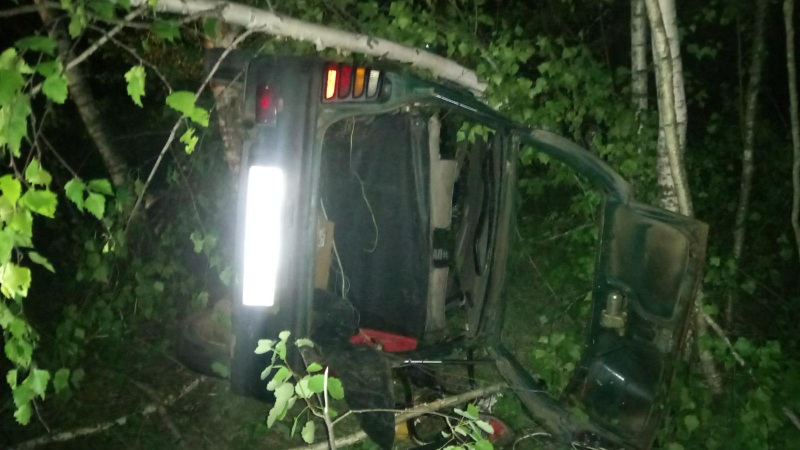 Пьяный рязанец на автомобиле вылетел в кювет и врезался в дерево