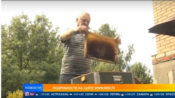 В Рязанской области массово гибнут пчелы. Сюжет об этом показали на федеральном телевидении