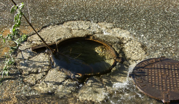 В Ряжске нашли канализационных воров