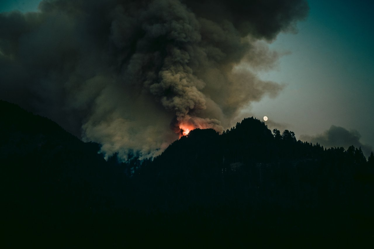 Возбуждено уголовное дело из-за лесных пожаров в Сельцах