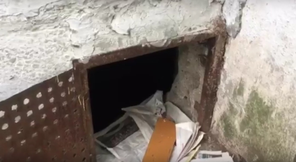 "Наш подвал залит фекалиями" - жители дома на Старореченской ведут битву с управляющей компанией