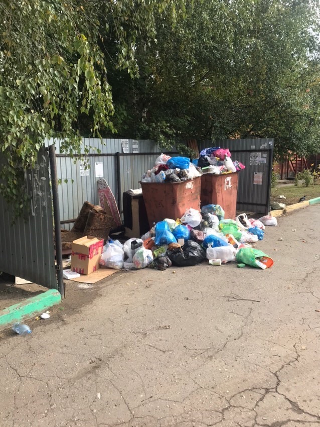 "Эко-Пронск" назвал сумму единого тарифа на вывоз мусора