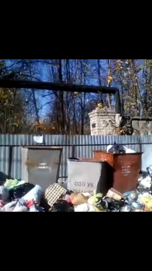 Обращение рязанца: "Так бывает, когда на площадке по сбору мусора стоят контейнеры от разных УК"