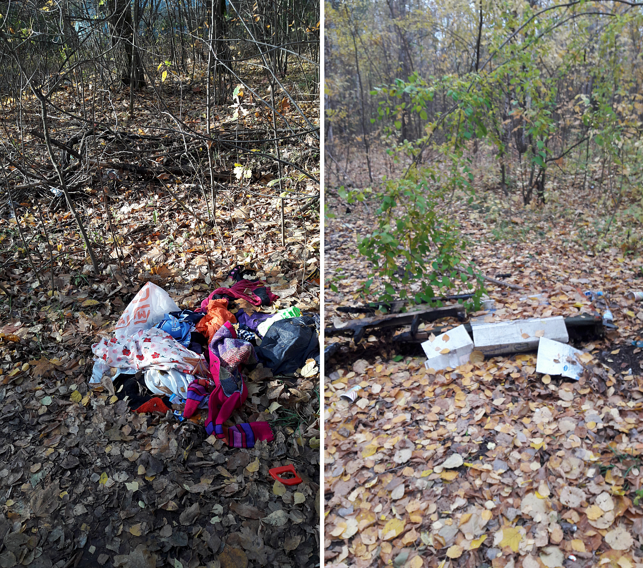 "Постоянный мусор и бутылки!": рязанка недовольна состоянием парка на Белякова
