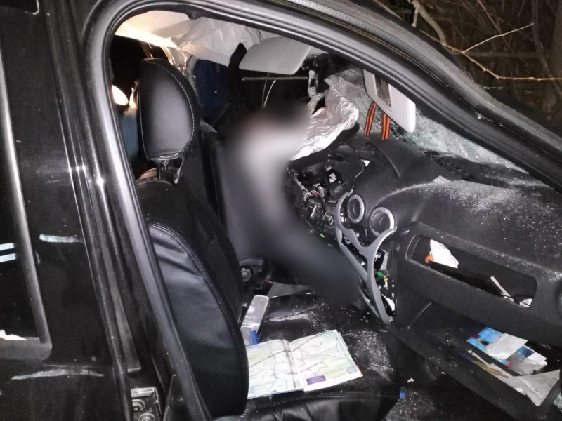Смертельное ДТП в Рязанской области: водитель "Рено" врезался в дерево