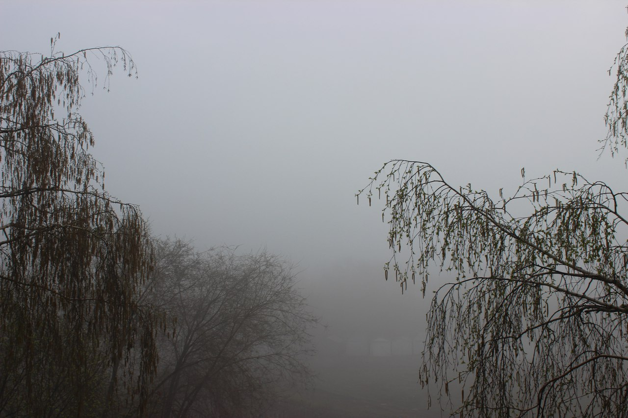 Ночью Рязань накроет густой туман