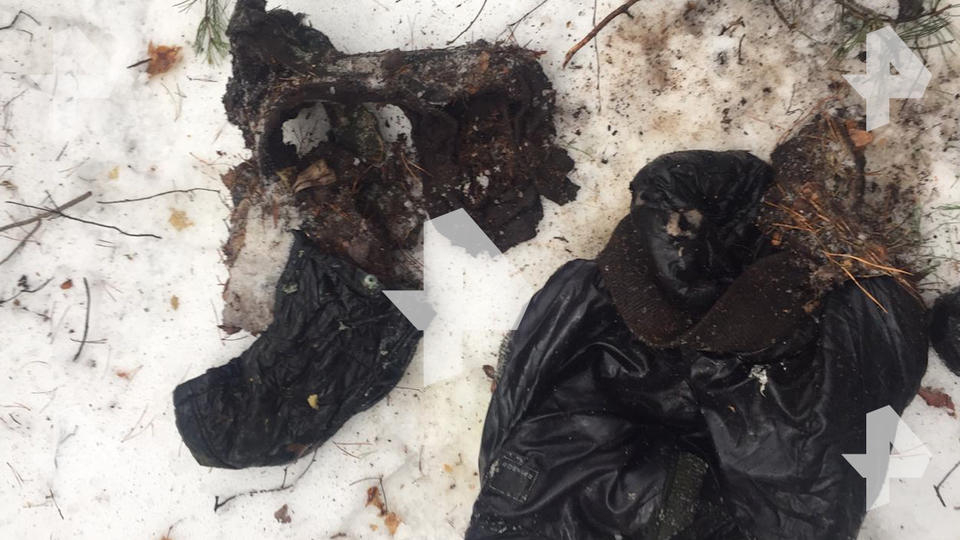 Под Рязанью нашли останки, возможно принадлежащие пропавшей в 2017 девушке
