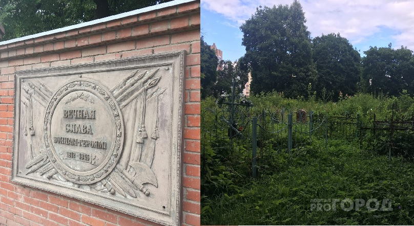 Вот наша память о героях: Лазаревское кладбище заросло двухметровым бурьяном