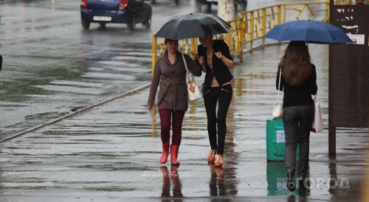 Погода на неделю: на территории Рязани и области всю неделю обещают дожди