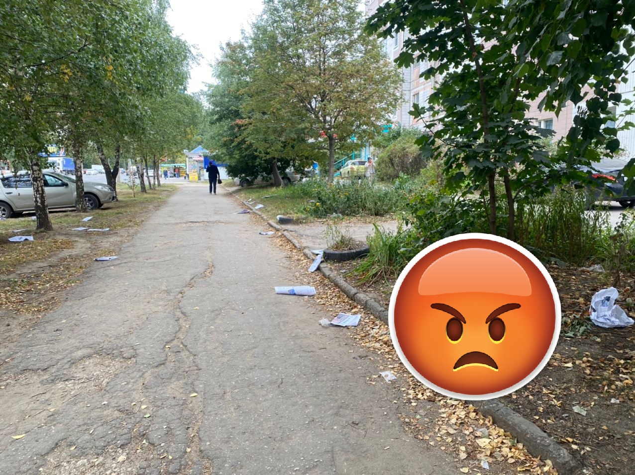 Хотел заступиться за Рязань, а в итоге замусорил: на улице Новоселов разбросали агитационные газеты