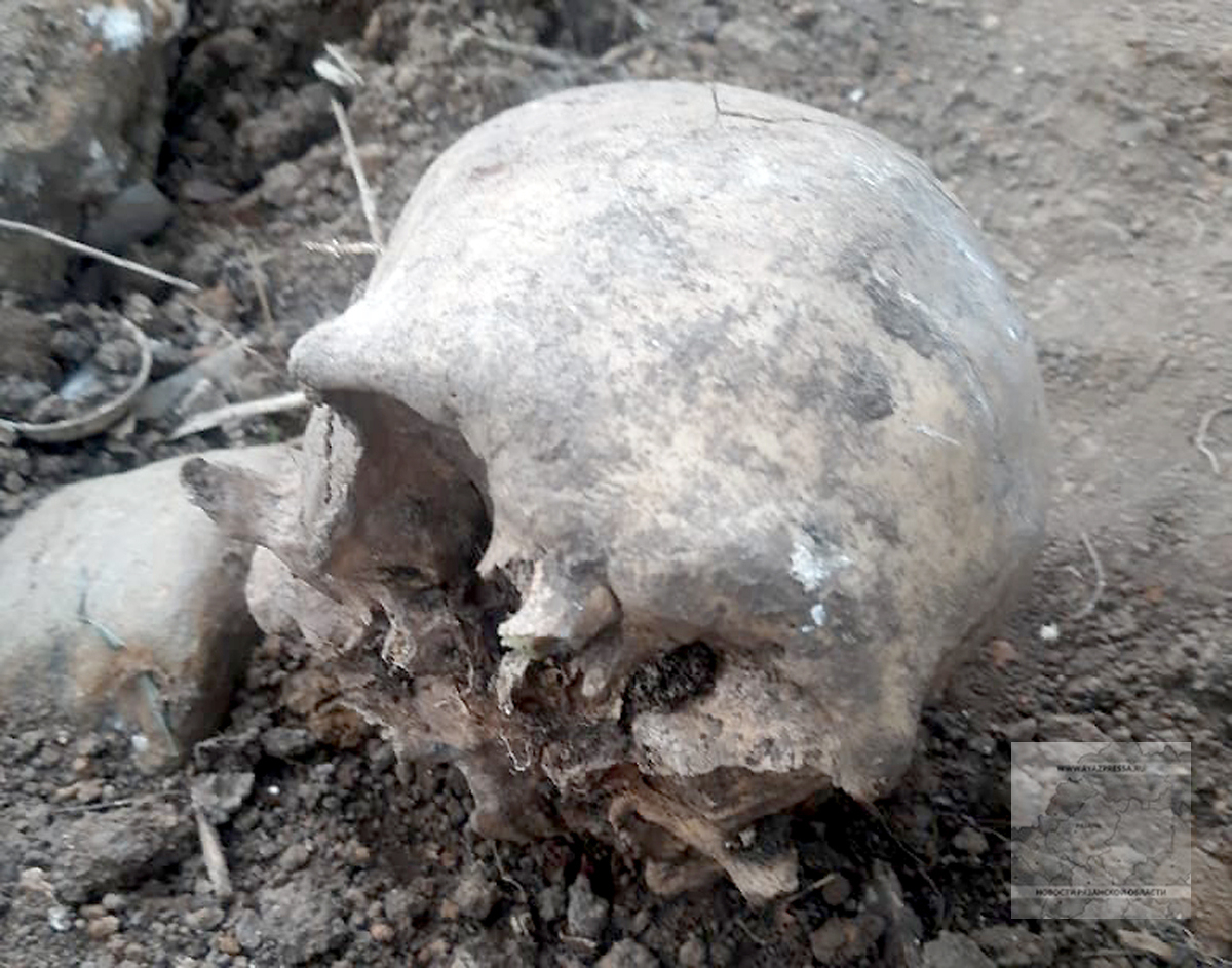 Жуткая находка: в Пронске во время земляных работ нашли человеческий череп