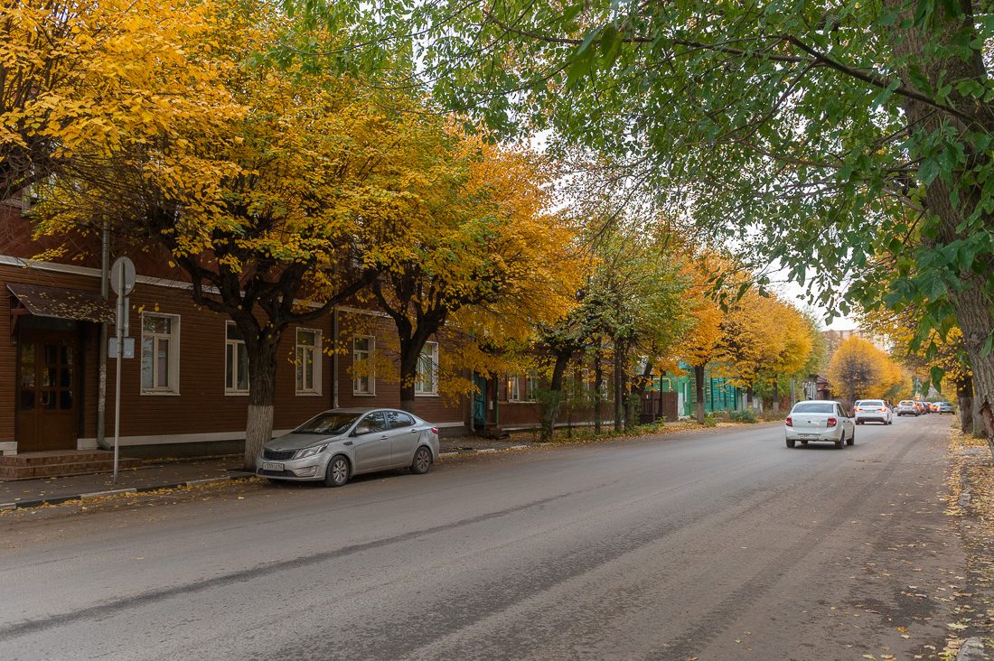 Деревянные дома и зелень: Варламов назвал Садовую одной из самых красивых улиц России