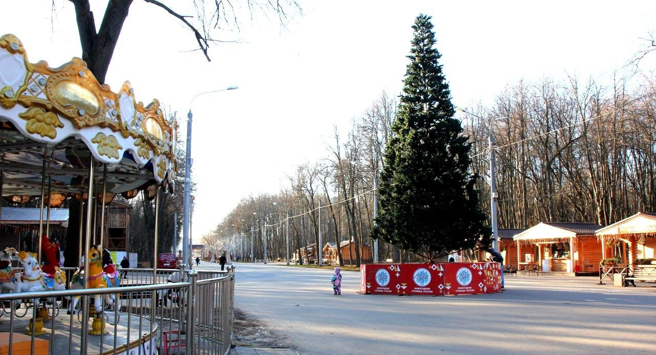Официально: 31 декабря в Рязанской области объявили выходным днем