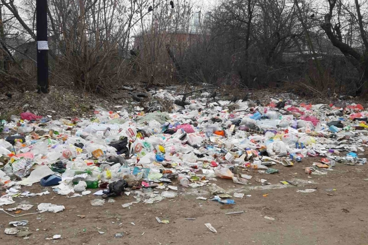 Вывезли 12 кубометров мусора: в Рязани убрали свалку на улице 2-ой Механизаторов