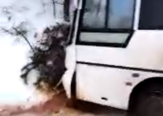 Капот разбит: рейсовый автобус в Рязанской области улетел в кювет
