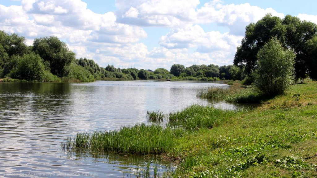 Работы займут два лета: в Рязанской области начали очищать русло реки Солотча