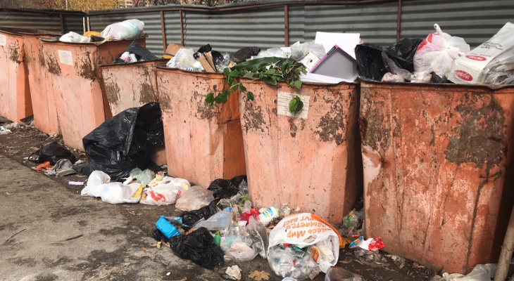Сомнительный куш: жители Подмосковья украли в Рыбновском районе несколько мусорных баков