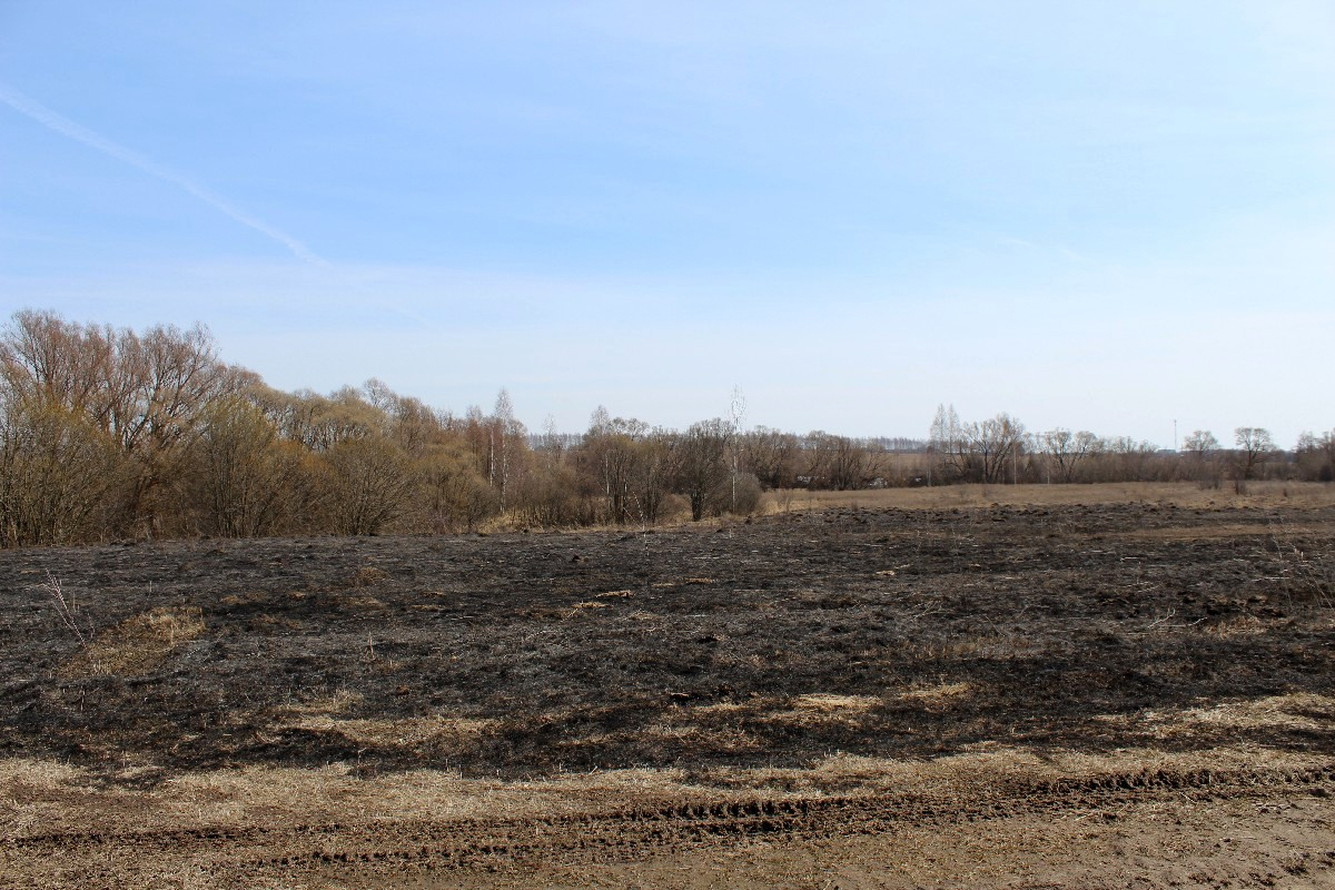 Опять жгут: в Путятинском районе дважды загорелась трава
