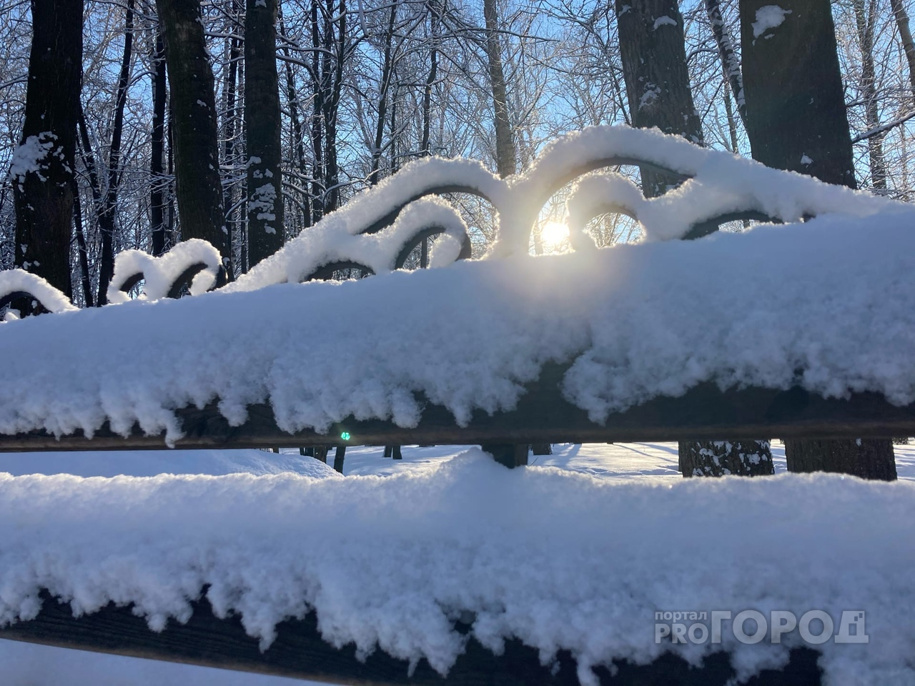 Зима близко: россиян предупредили об аномально холодной зиме