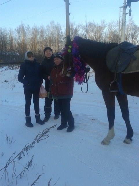 "Покатушники" в Рязани – в бизнес пришли люди, у которых забота о лошади стоит на последнем месте