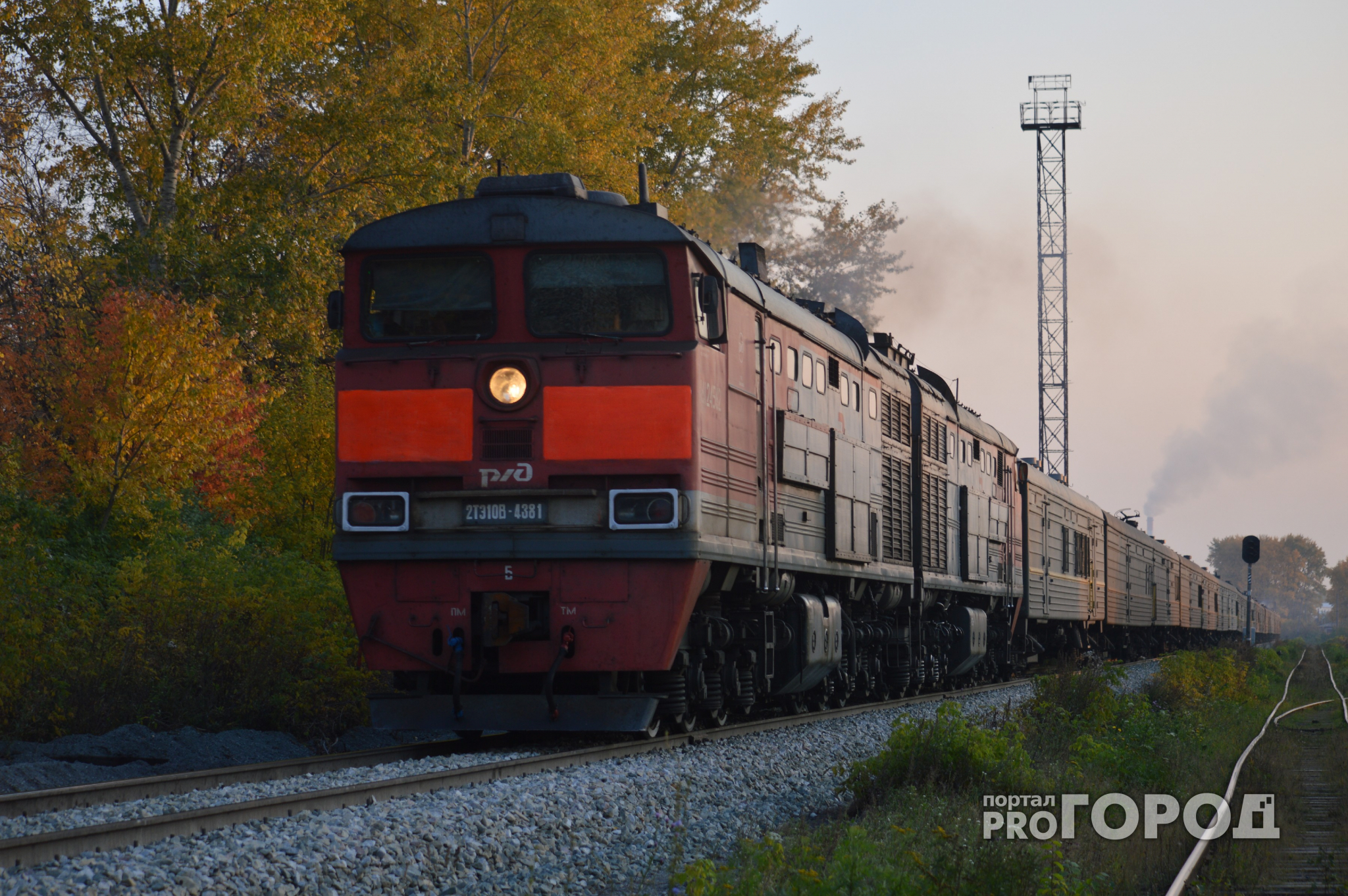 В Рязанской области поезд насмерть сбил 46-летнего мужчину
