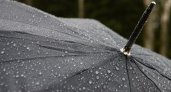 4 мая в Рязани ожидается дождь и +13 градусов