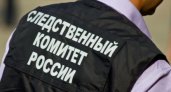 В Клепиковском районе изнасиловали девушку 17 лет