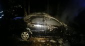 В Клепиковском районе водитель Chevrolet сбил лося и погиб