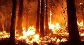 В Рязанской области объявили 4 класс пожарной опасности